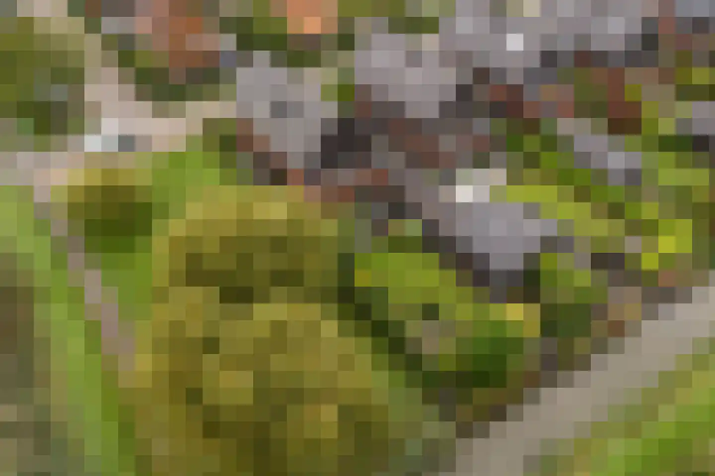 Belleperenlaan 1 Vleuten thumbnail 4