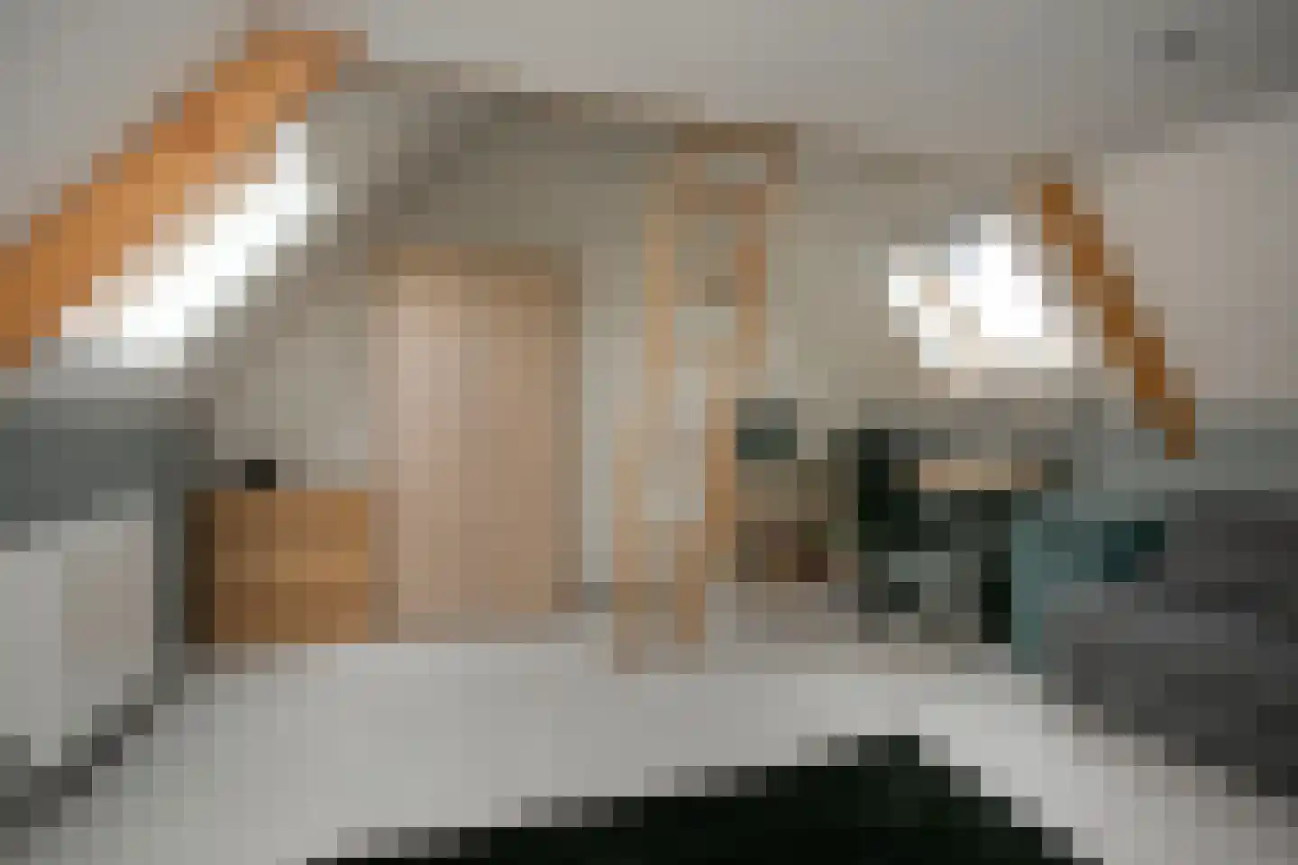 Belleperenlaan 1 Vleuten thumbnail 47