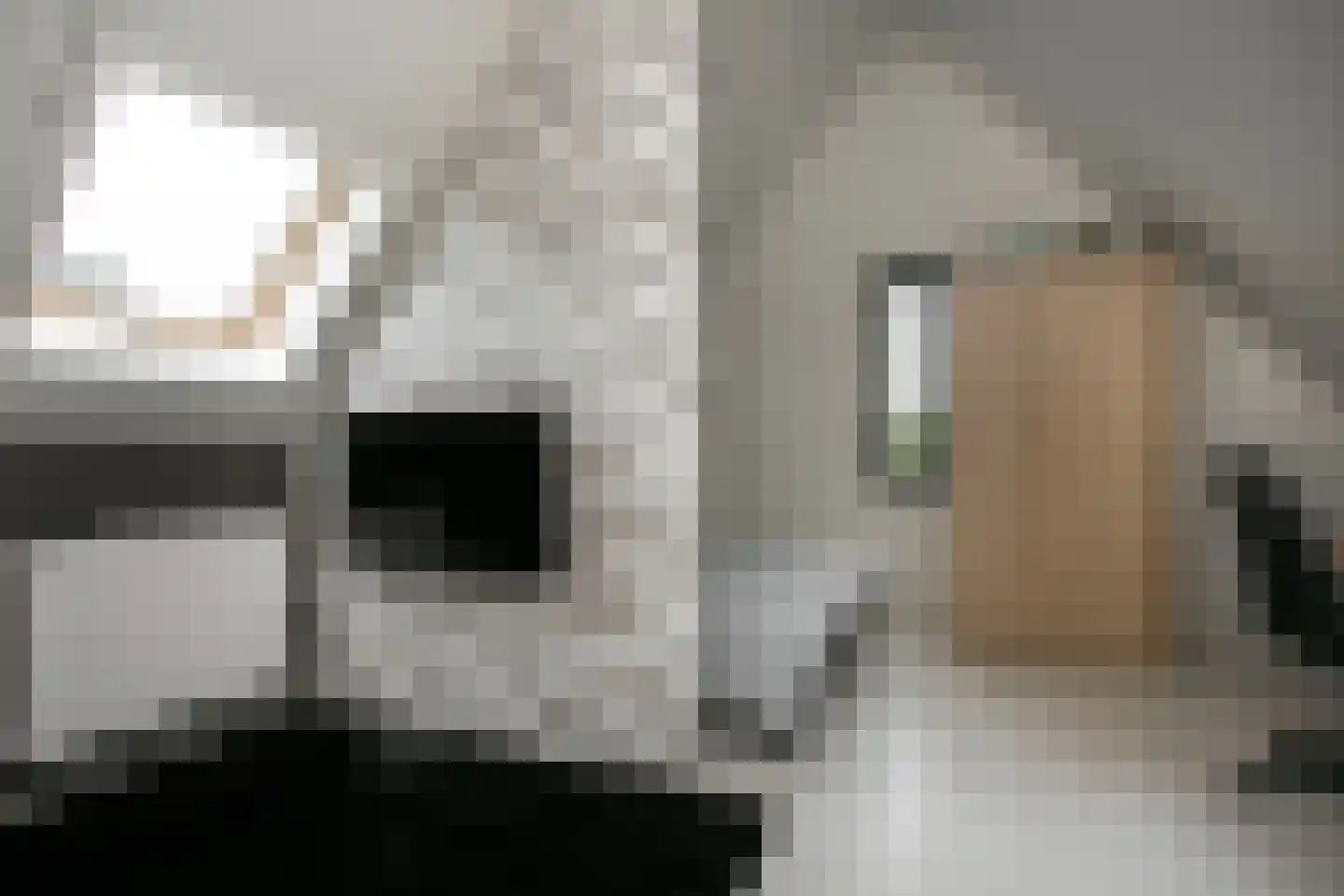 Belleperenlaan 1 Vleuten thumbnail 48