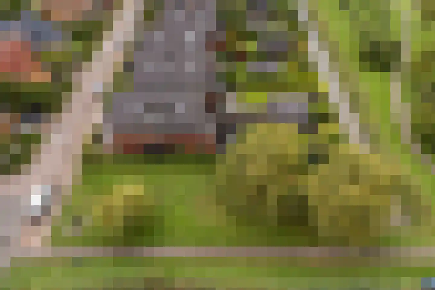Belleperenlaan 1 Vleuten thumbnail 5