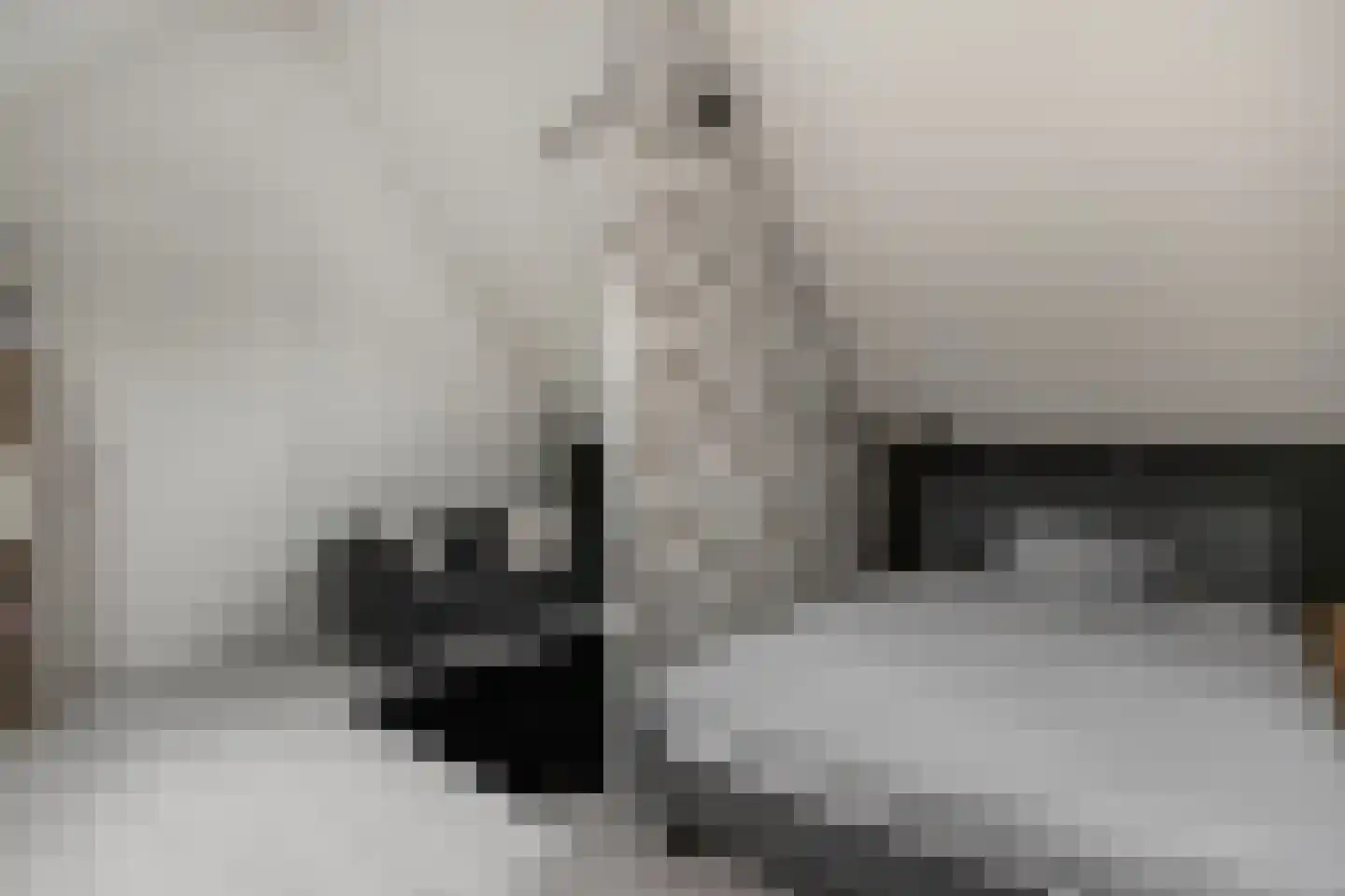 Belleperenlaan 1 Vleuten thumbnail 50