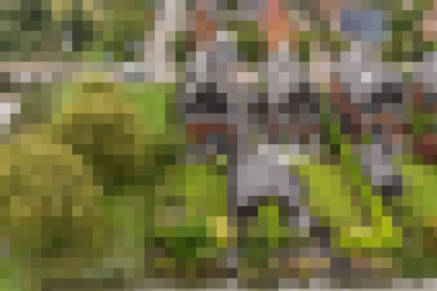 Belleperenlaan 1 Vleuten thumbnail 6