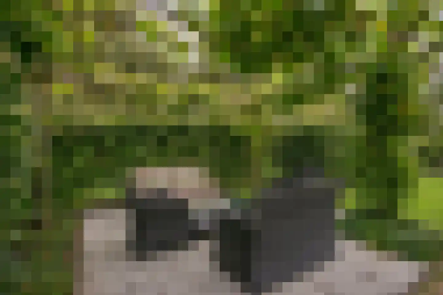Belleperenlaan 1 Vleuten thumbnail 60