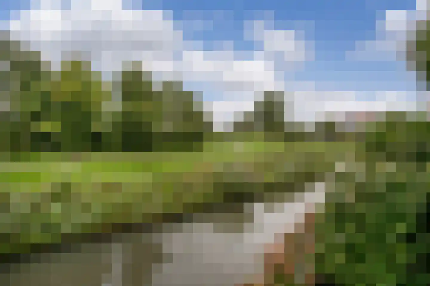 Belleperenlaan 1 Vleuten thumbnail 64