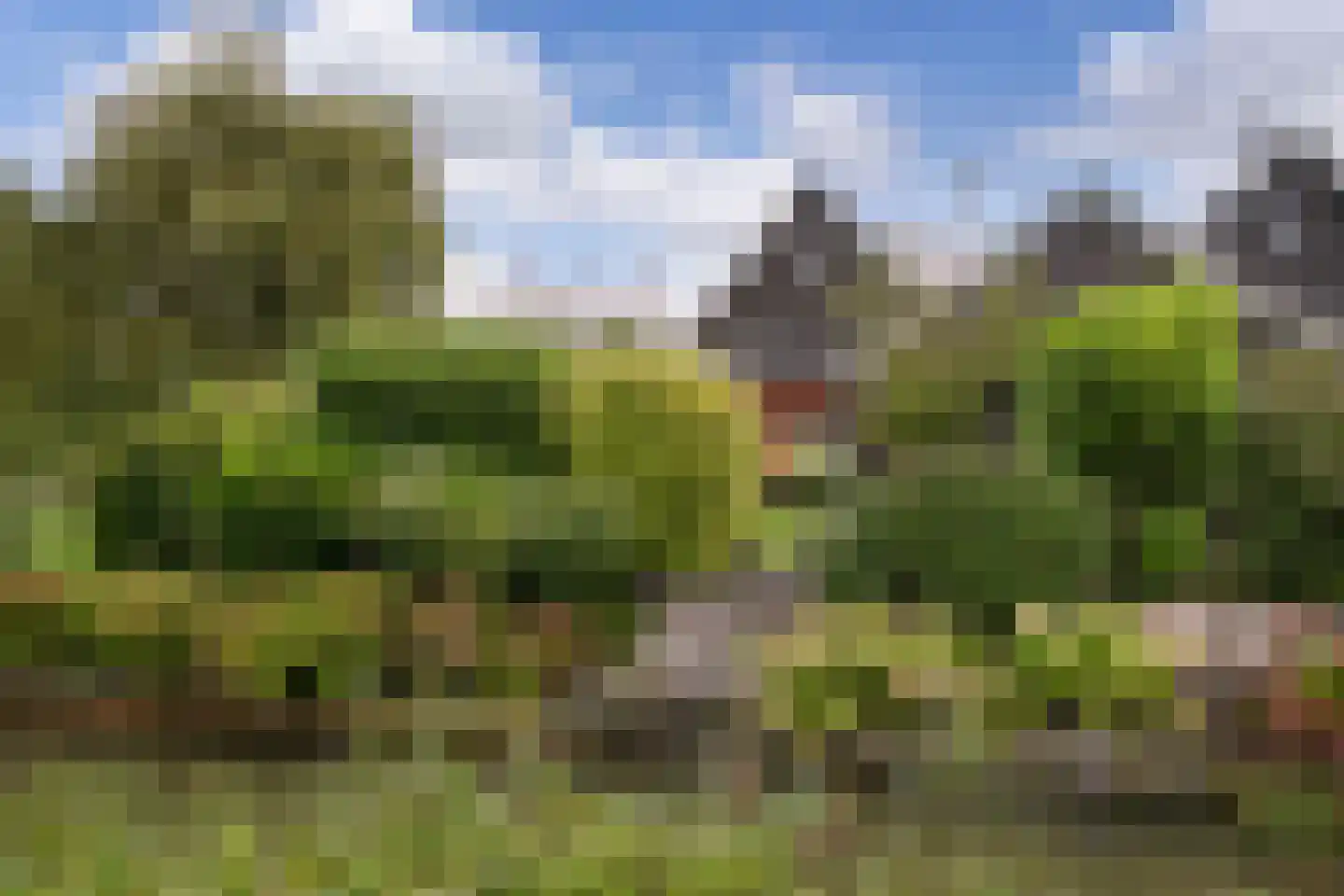 Belleperenlaan 1 Vleuten thumbnail 68