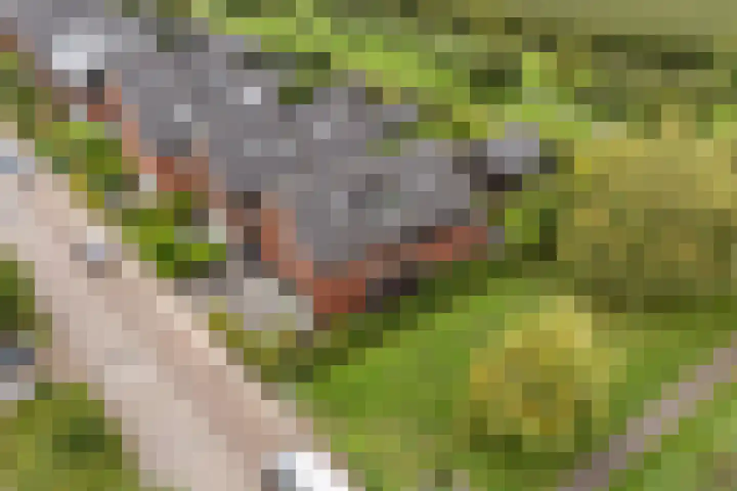 Belleperenlaan 1 Vleuten thumbnail 78