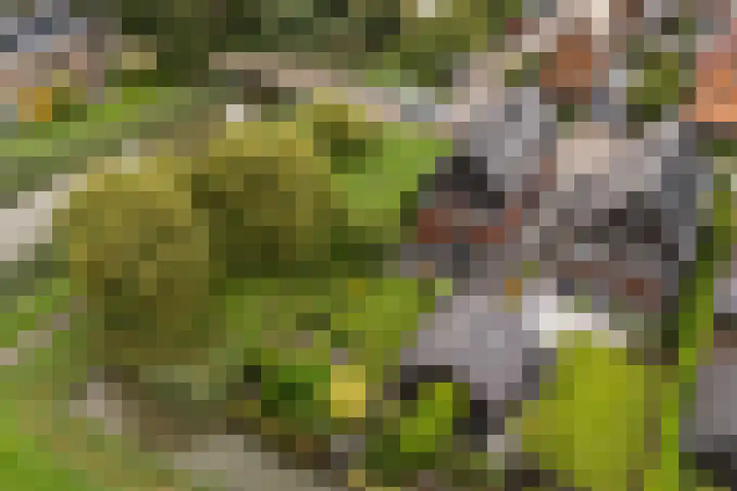 Belleperenlaan 1 Vleuten thumbnail 79