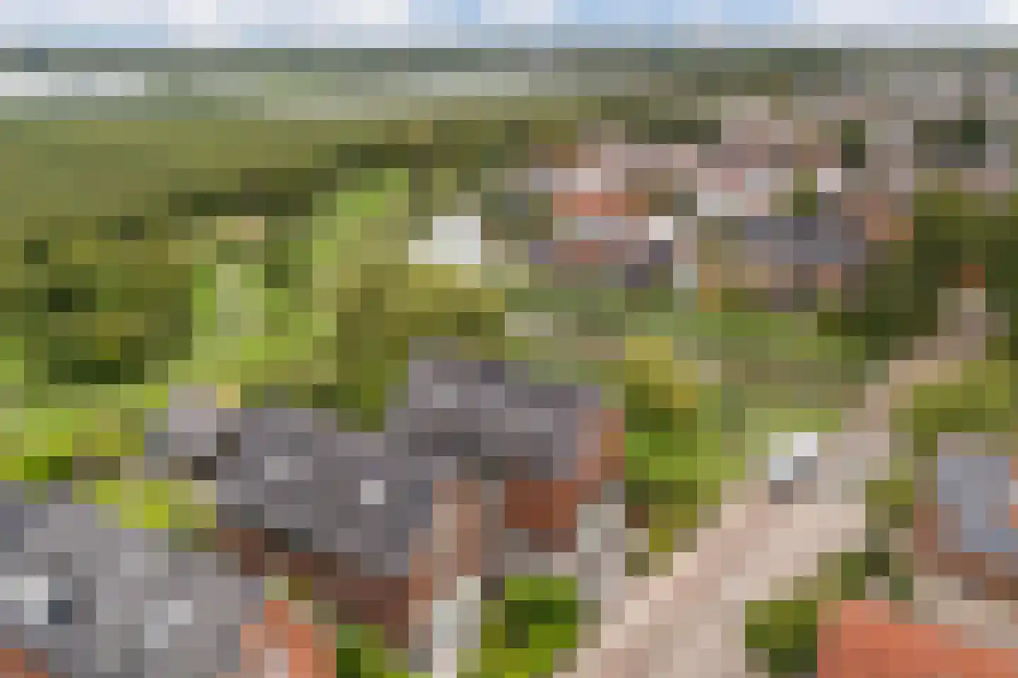 Belleperenlaan 1 Vleuten thumbnail 81