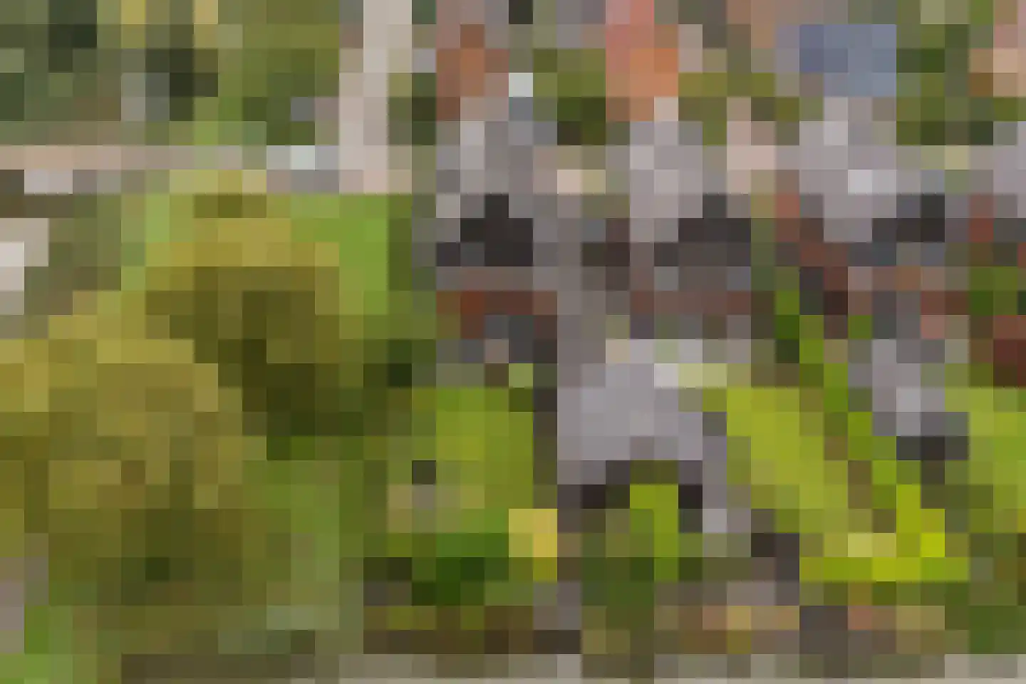 Belleperenlaan 1 Vleuten thumbnail 84