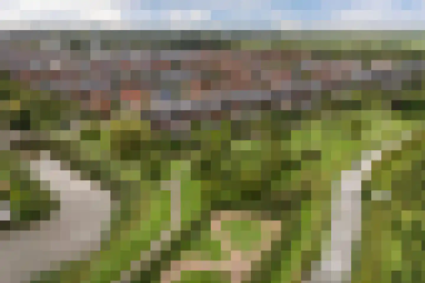 Belleperenlaan 1 Vleuten thumbnail 86