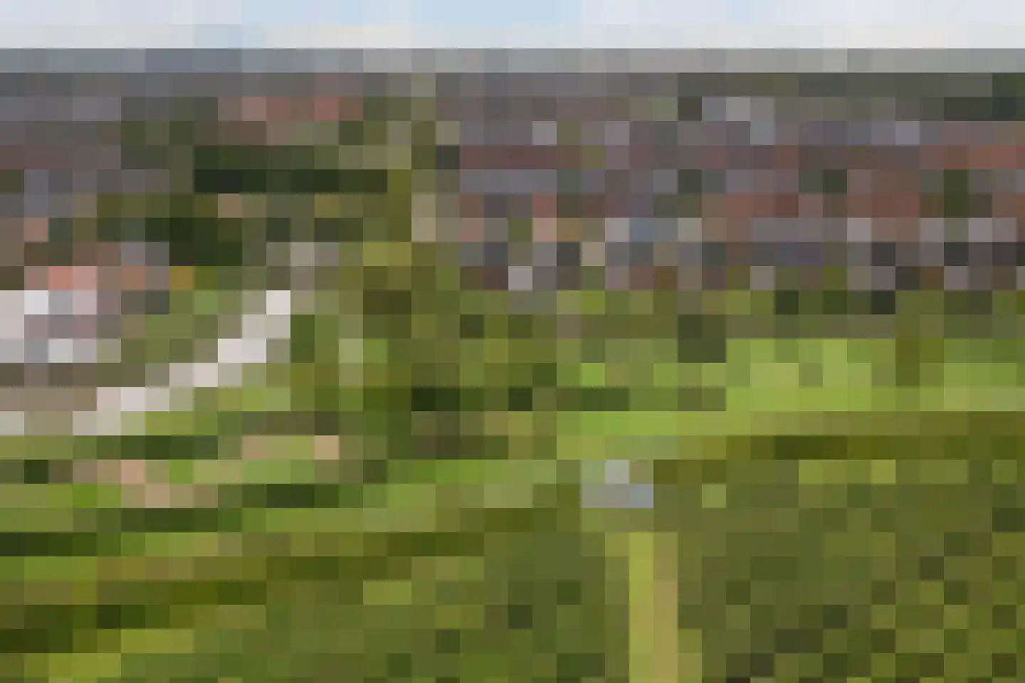 Belleperenlaan 1 Vleuten thumbnail 87