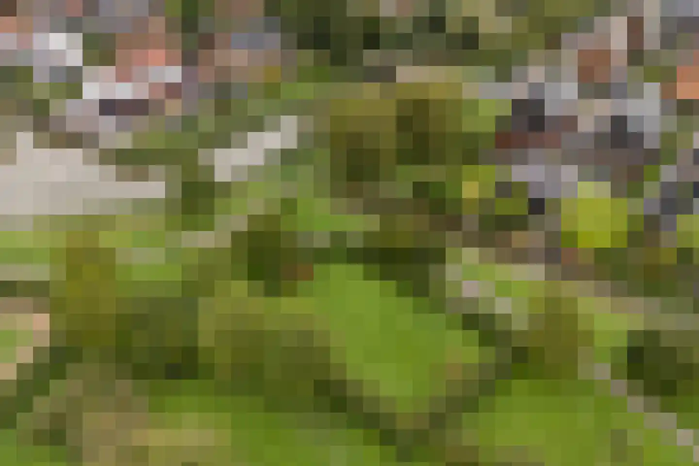 Belleperenlaan 1 Vleuten thumbnail 88