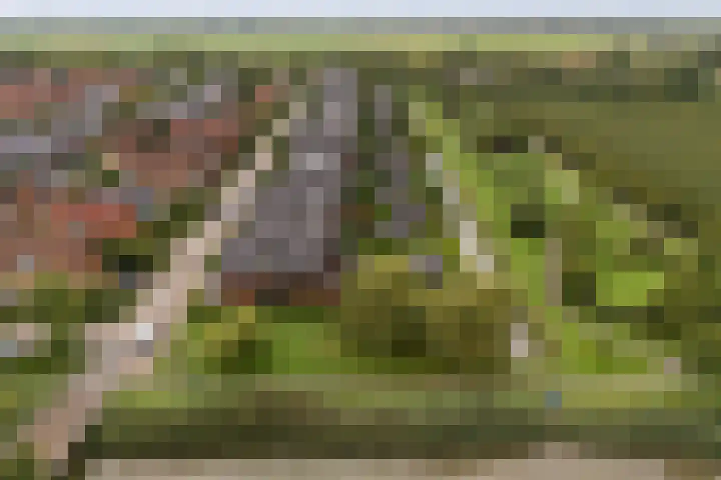 Belleperenlaan 1 Vleuten thumbnail 89