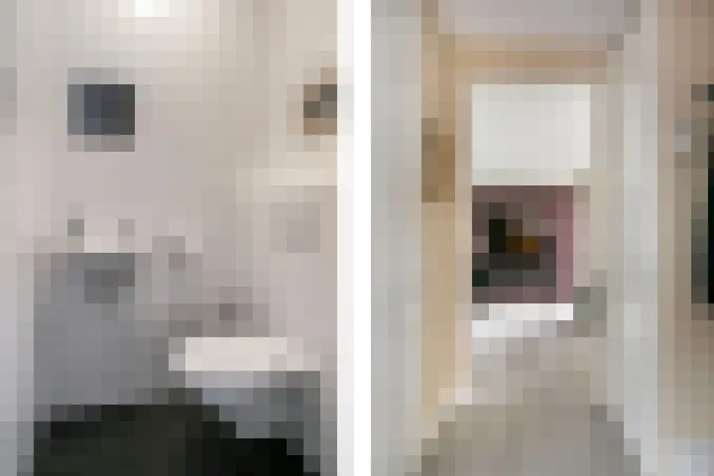 Belleperenlaan 1 Vleuten thumbnail 9