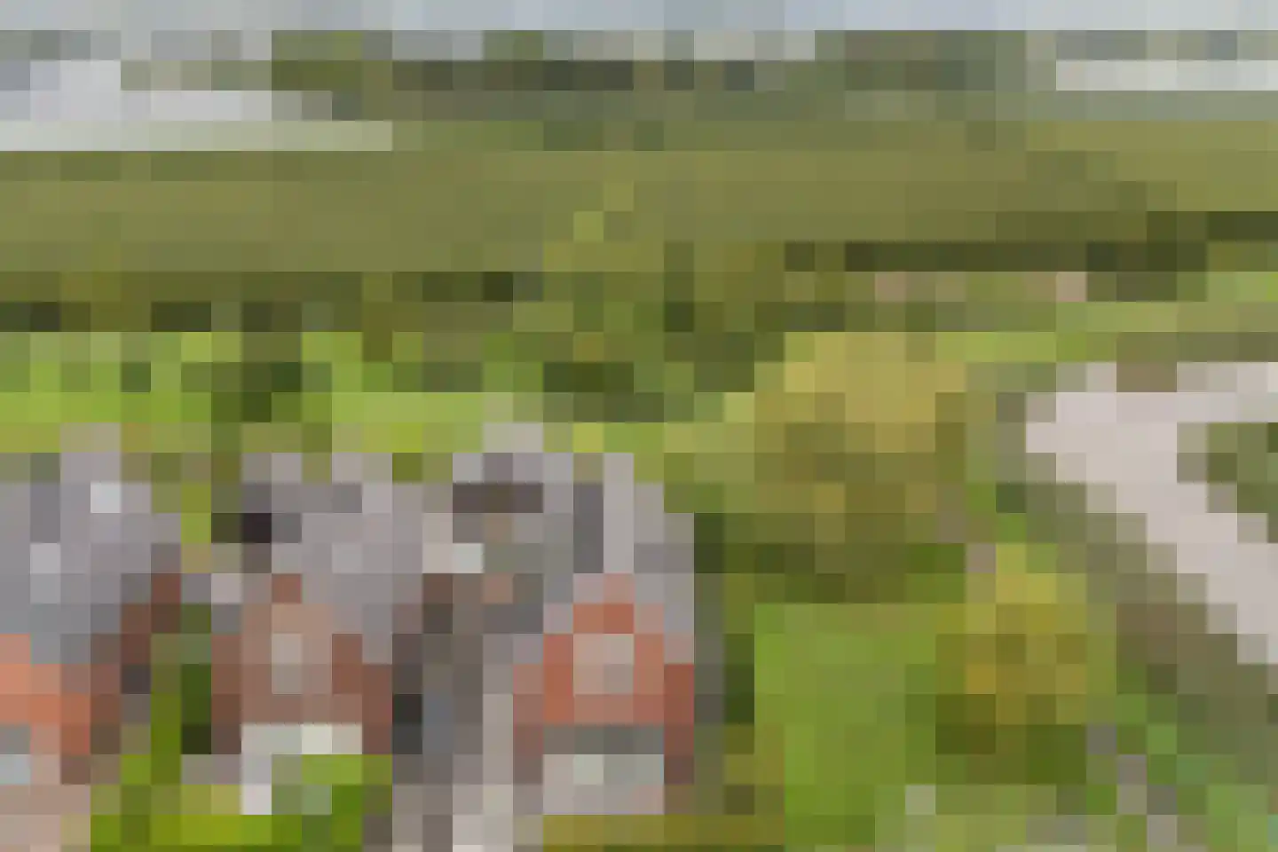 Belleperenlaan 1 Vleuten thumbnail 90