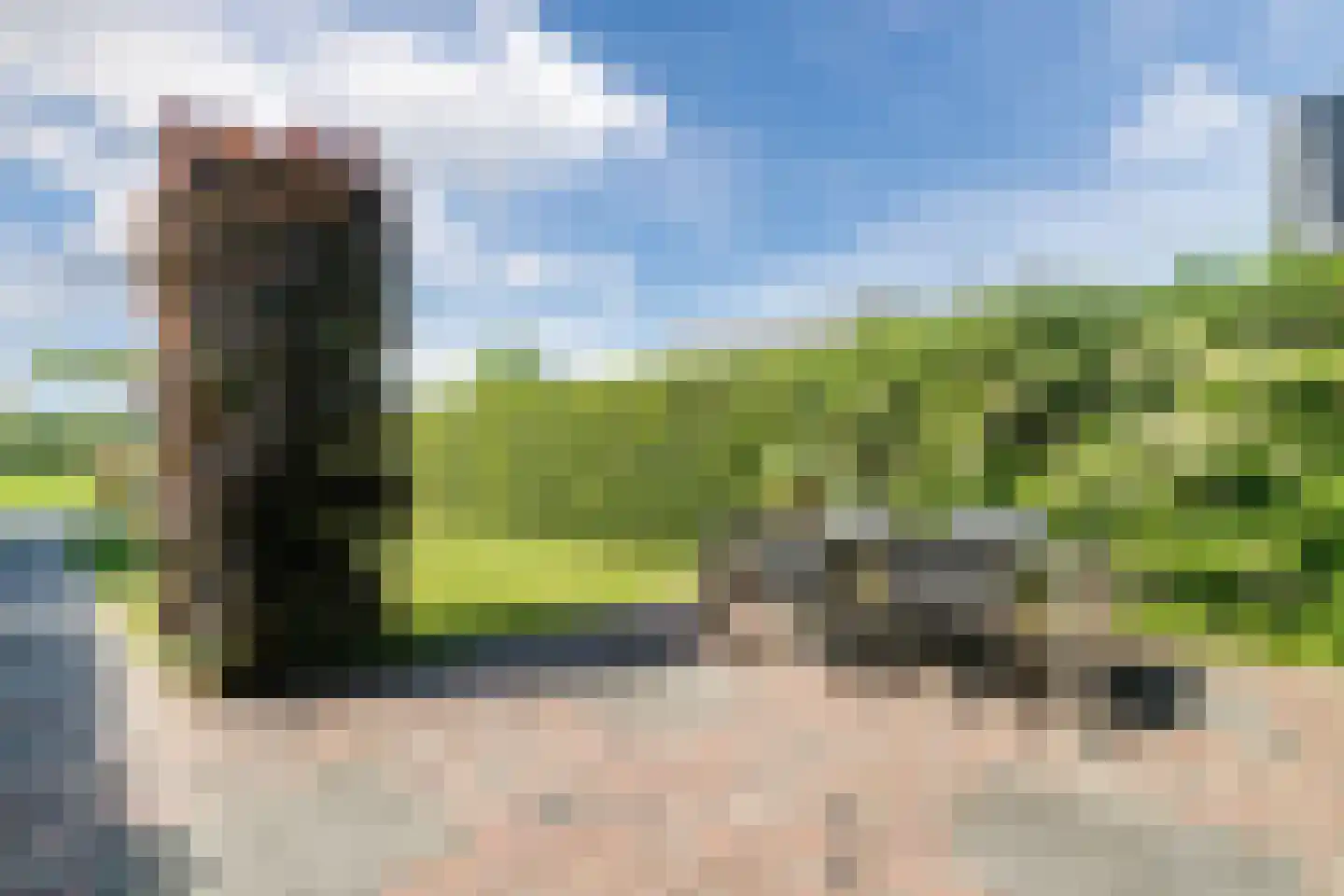 Belleperenlaan 11 Vleuten thumbnail 11