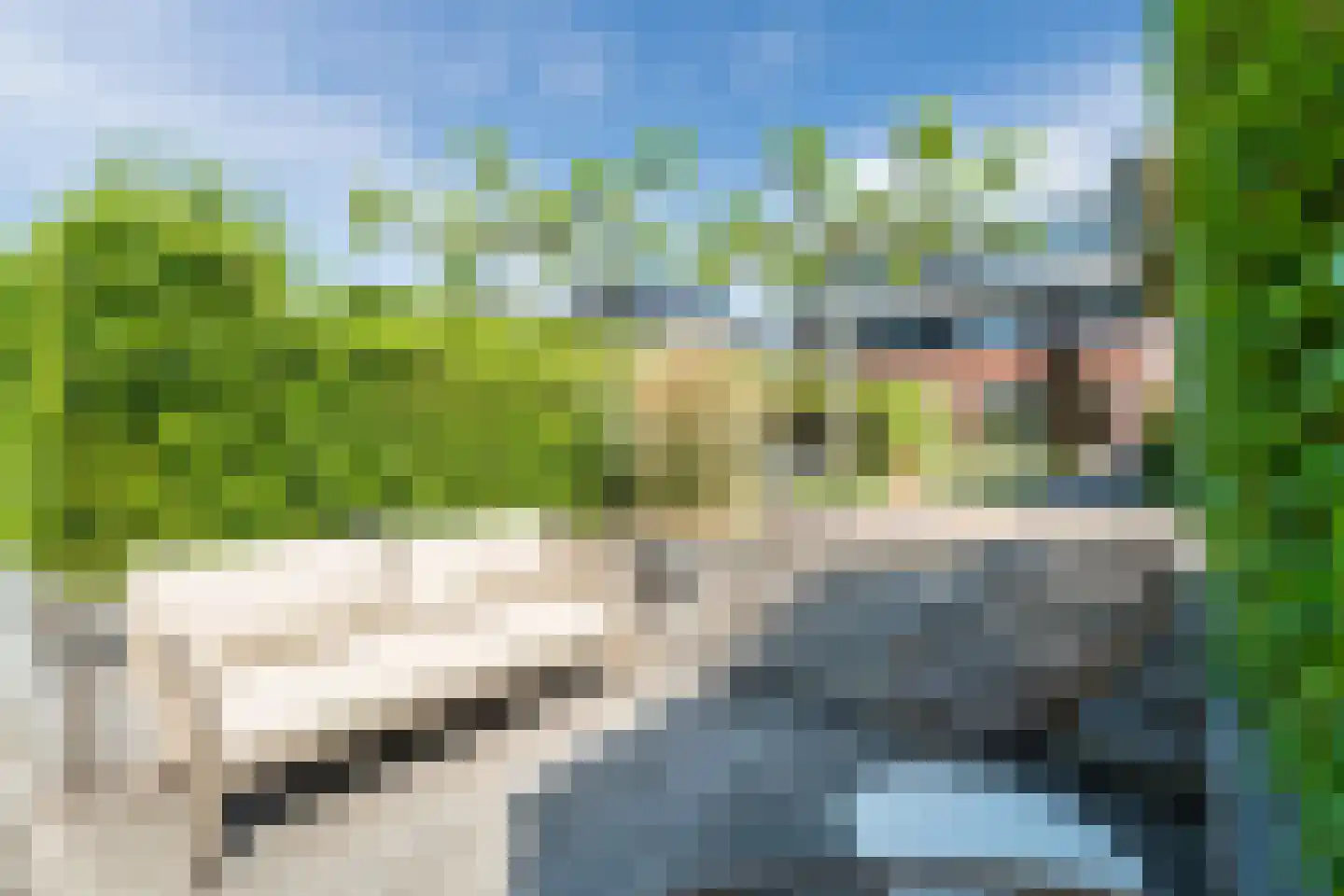 Belleperenlaan 11 Vleuten thumbnail 21