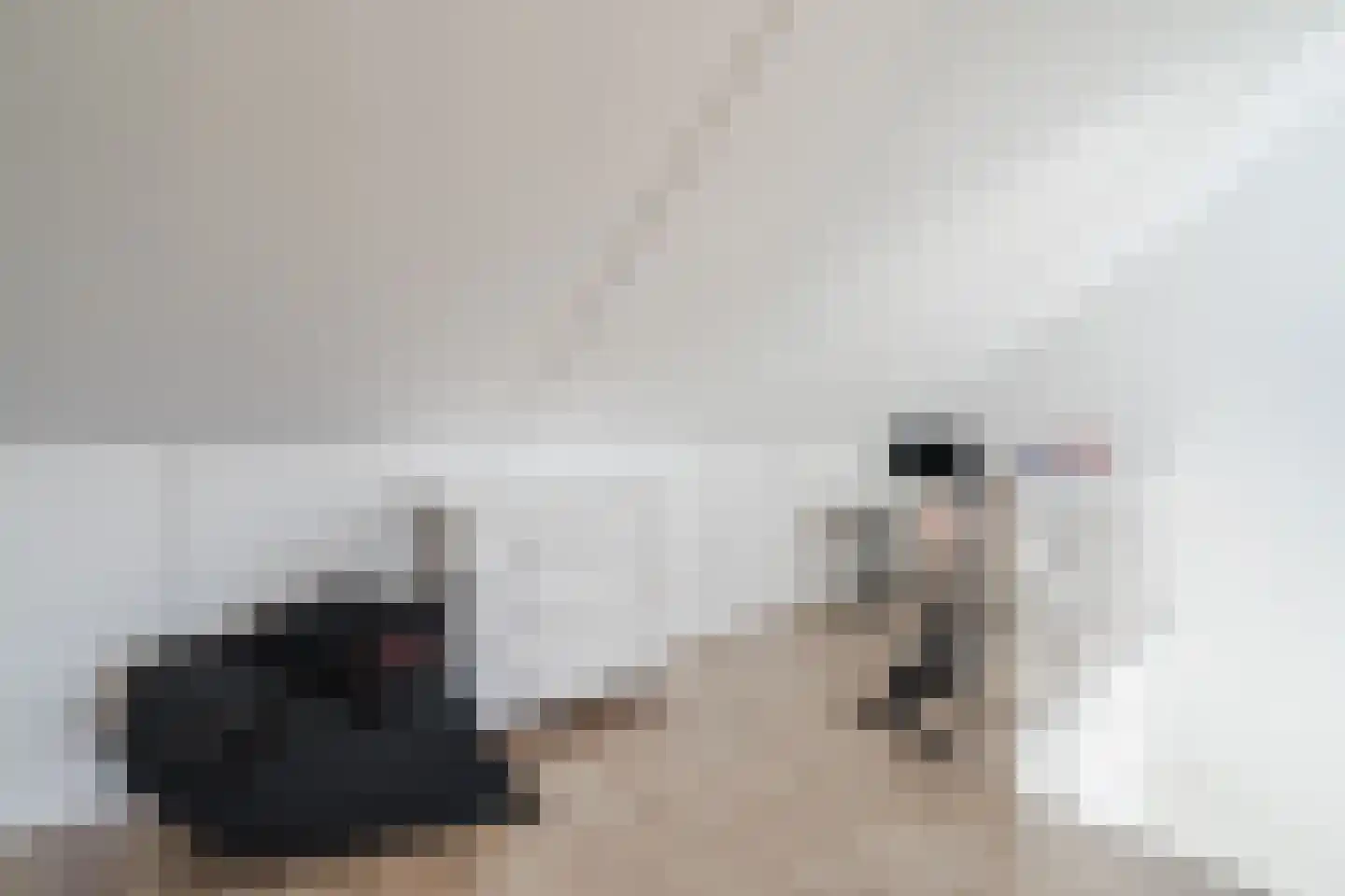 Belleperenlaan 11 Vleuten thumbnail 53