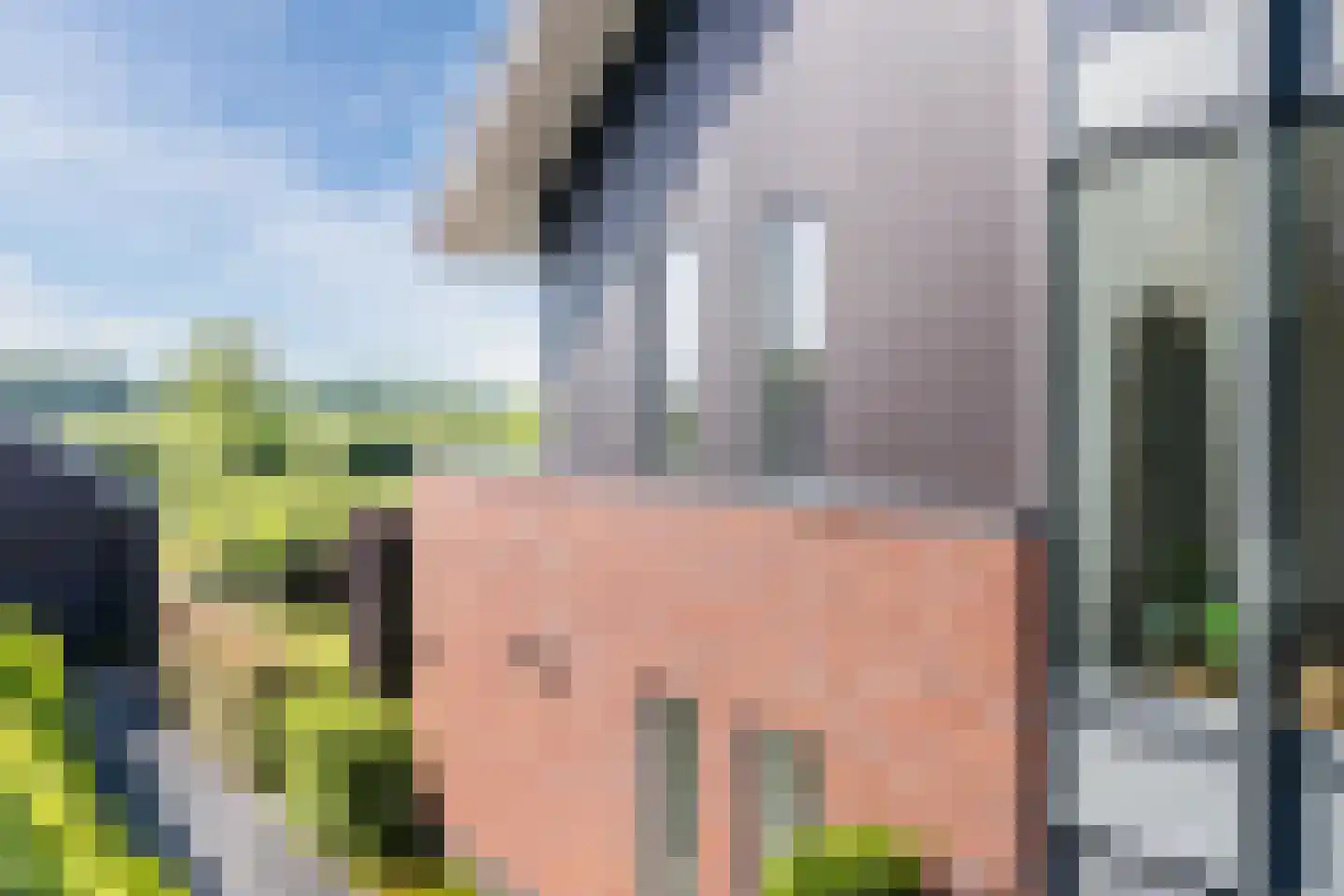 Belleperenlaan 11 Vleuten thumbnail 12