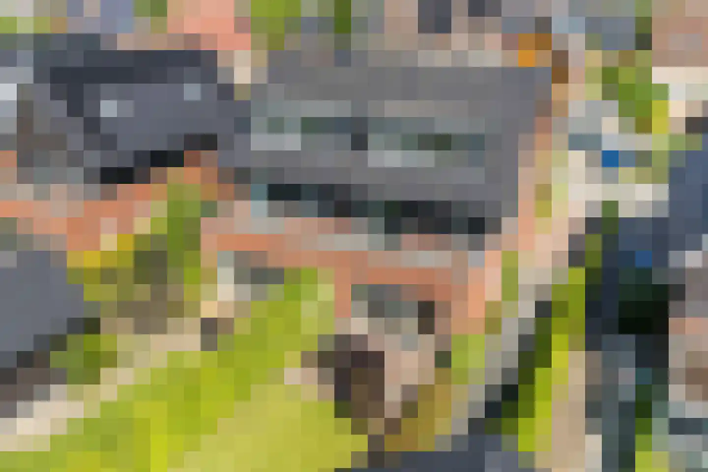 Belleperenlaan 11 Vleuten thumbnail 15