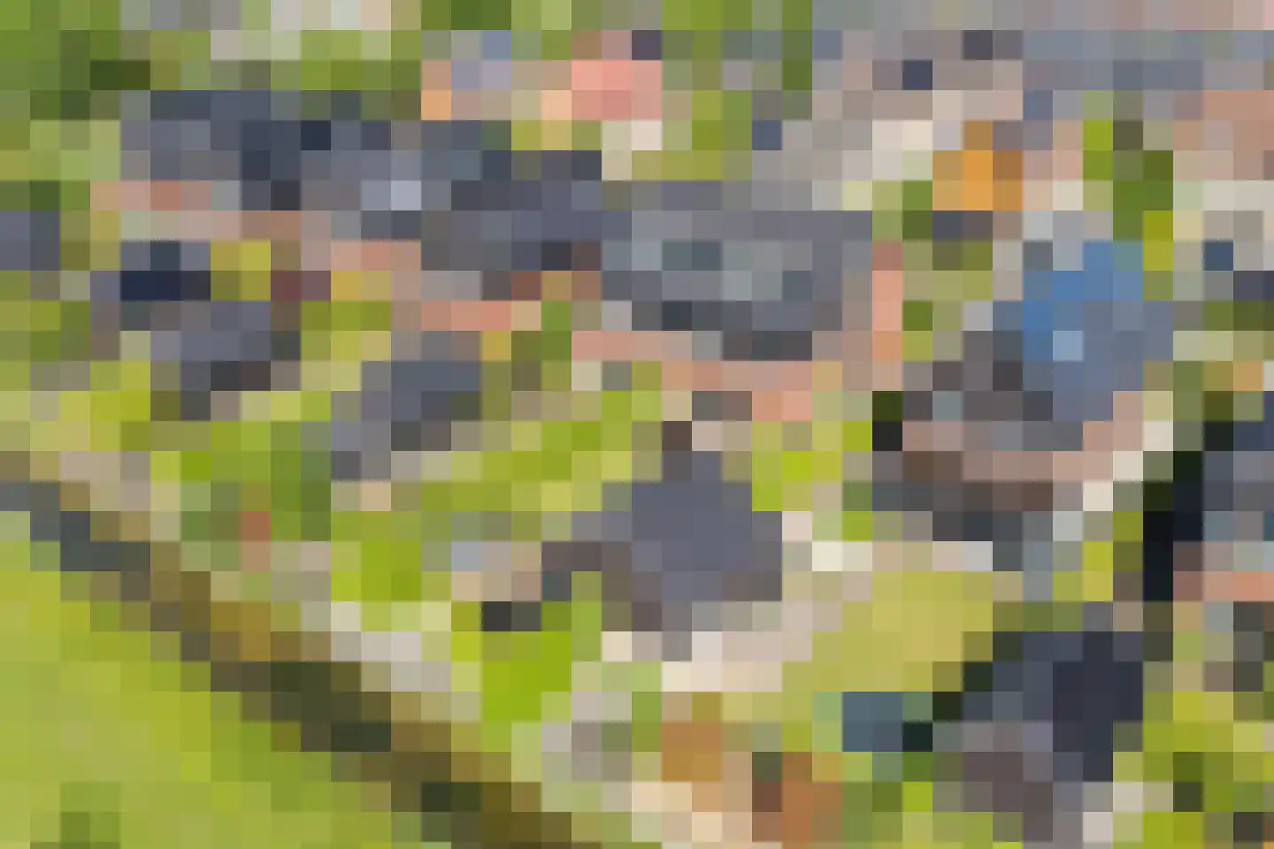 Belleperenlaan 11 Vleuten thumbnail 16