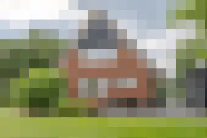 Bellertstraat 20 Beemte Broekland thumbnail 29