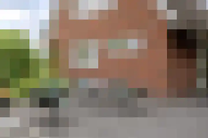 Bellertstraat 20 Beemte Broekland thumbnail 30