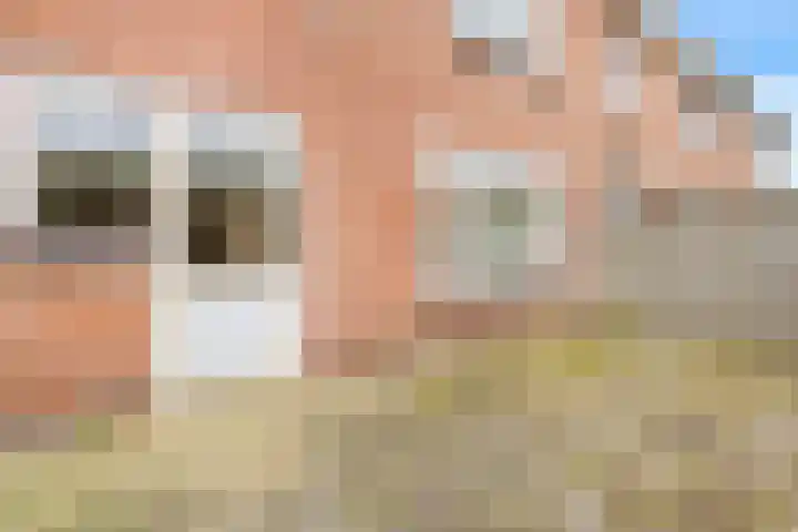 Bellesloot 79 De Rijp thumbnail 12