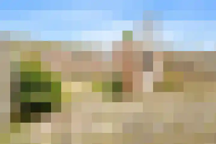 Bellesloot 79 De Rijp thumbnail 13