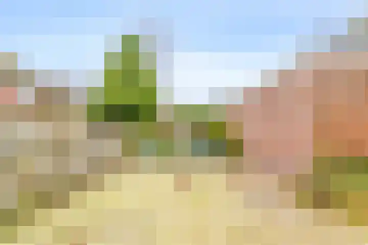 Bellesloot 79 De Rijp thumbnail 14