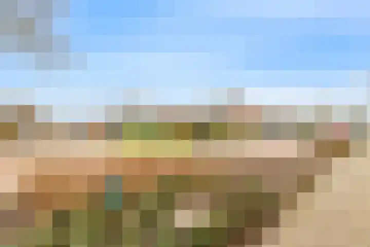 Bellesloot 79 De Rijp thumbnail 29