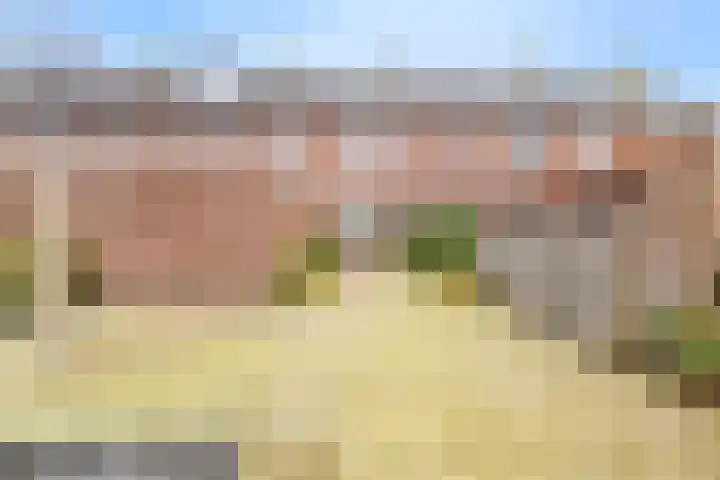 Bellesloot 79 De Rijp foto 3