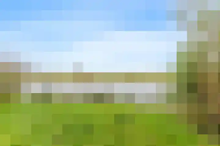 Bellesloot 79 De Rijp thumbnail 30