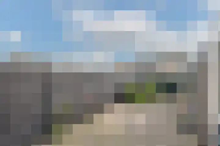 Bellesloot 9 De Rijp thumbnail 36