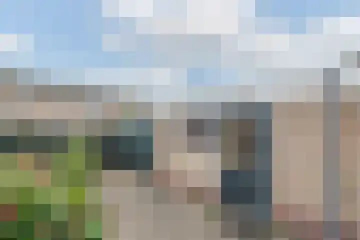 Bellesloot 9 De Rijp thumbnail 38