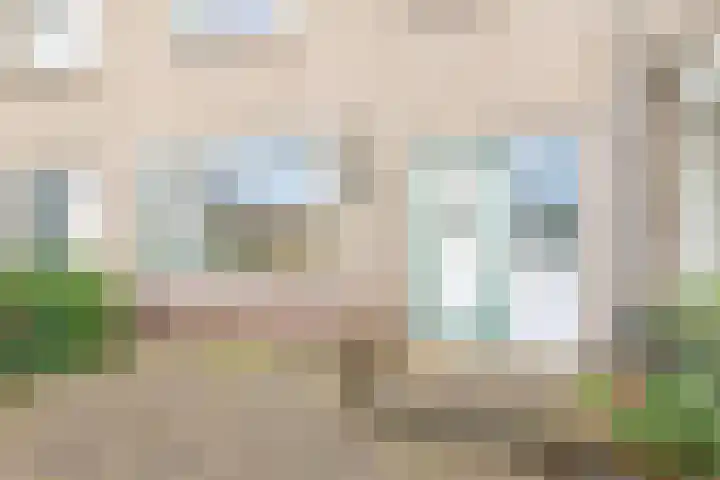 Bellesloot 9 De Rijp thumbnail 6