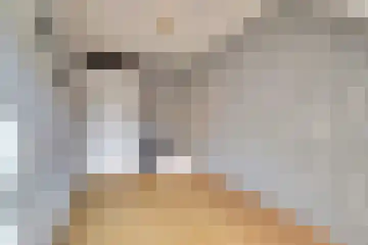 Bellestein 13 Ede thumbnail 24