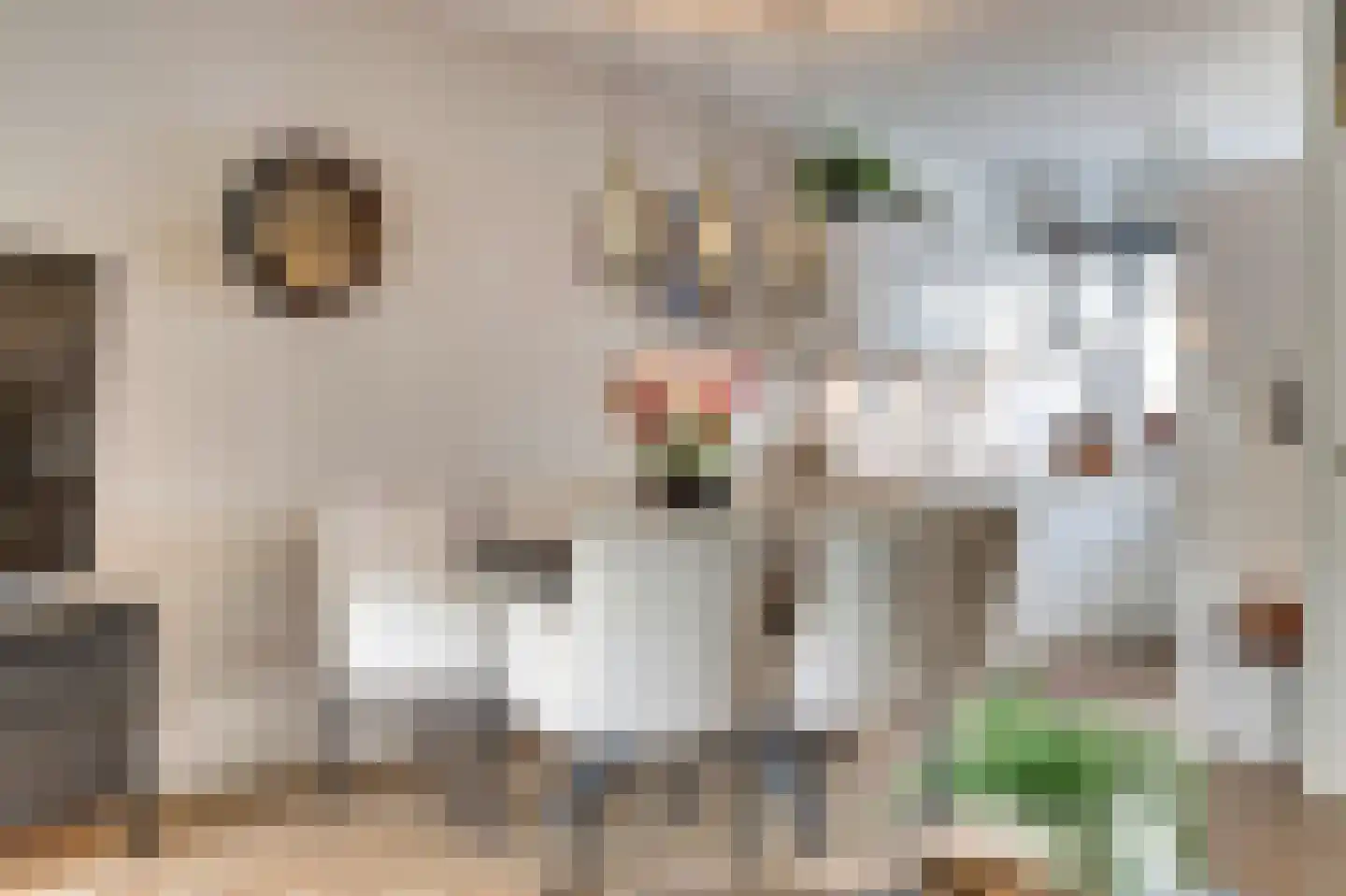 Bellestein 13 Ede thumbnail 9