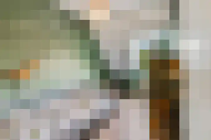 Bellestein 147 Ede thumbnail 18