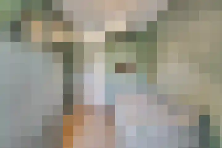 Bellestein 147 Ede thumbnail 19