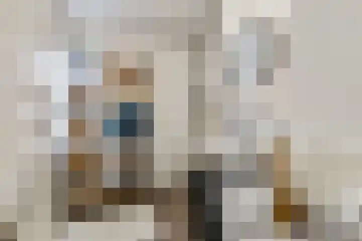 Bellestein 147 Ede thumbnail 20