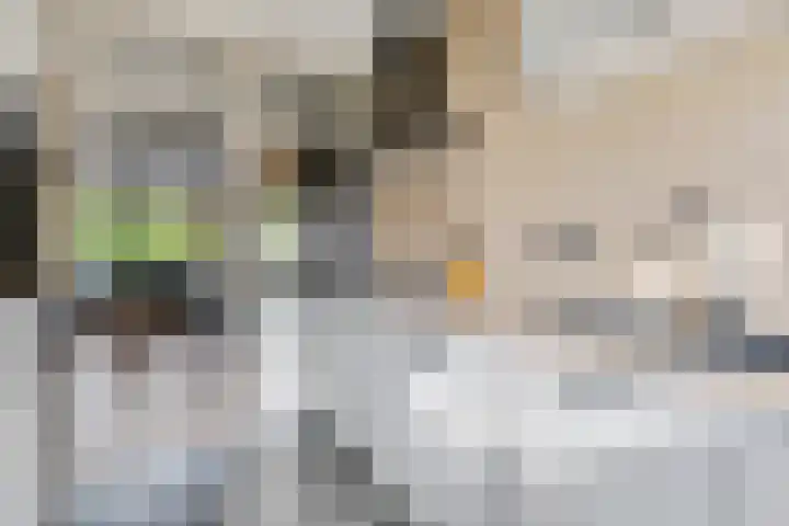 Bellestein 147 Ede thumbnail 7