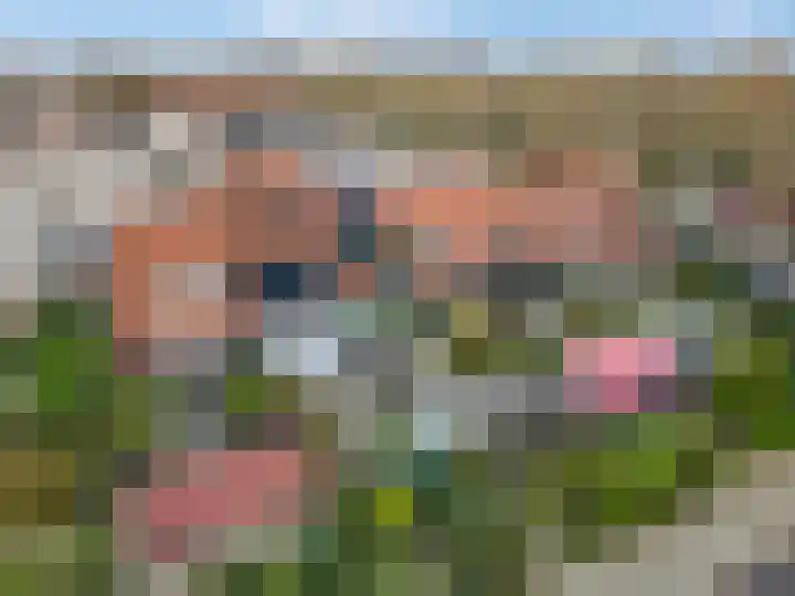 Bellestein 9 Ede thumbnail 25