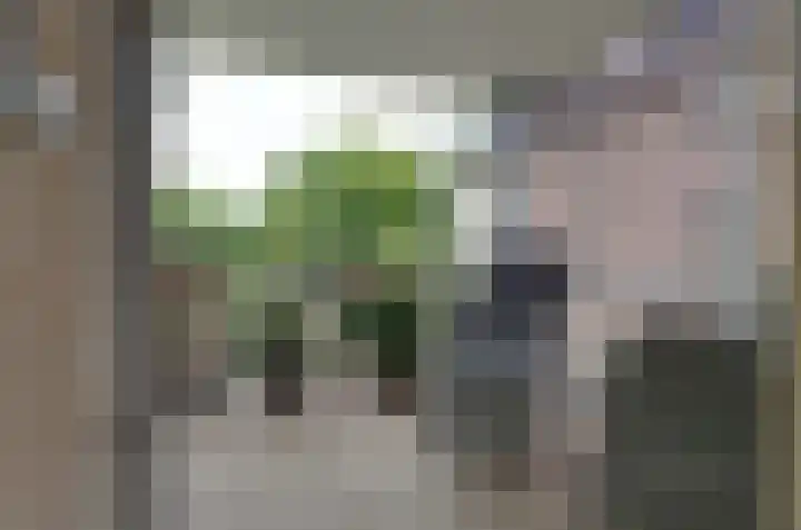 Bellevue 6 Assen thumbnail 14