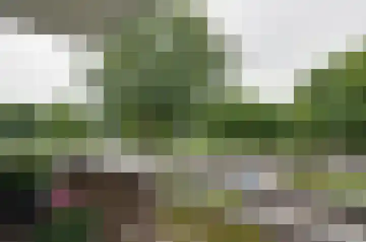 Bellevue 6 Assen thumbnail 16