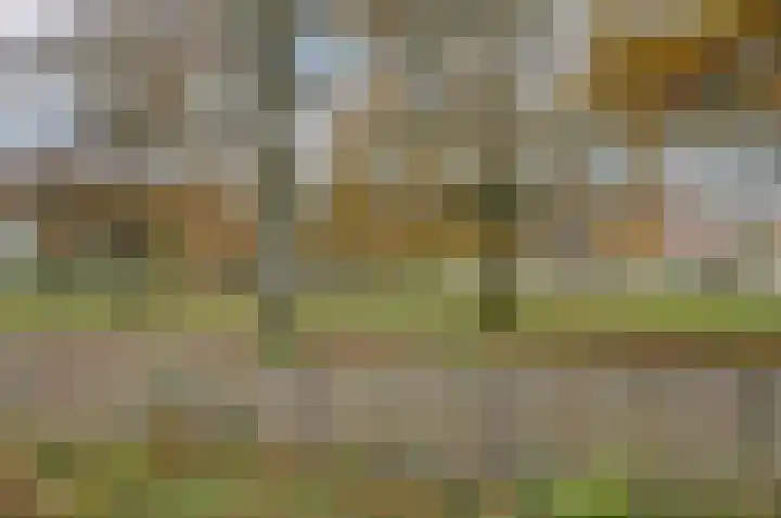 Bellevue 6 Assen thumbnail 32