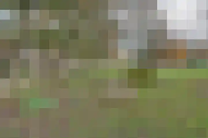 Bellevue 6 Assen thumbnail 36