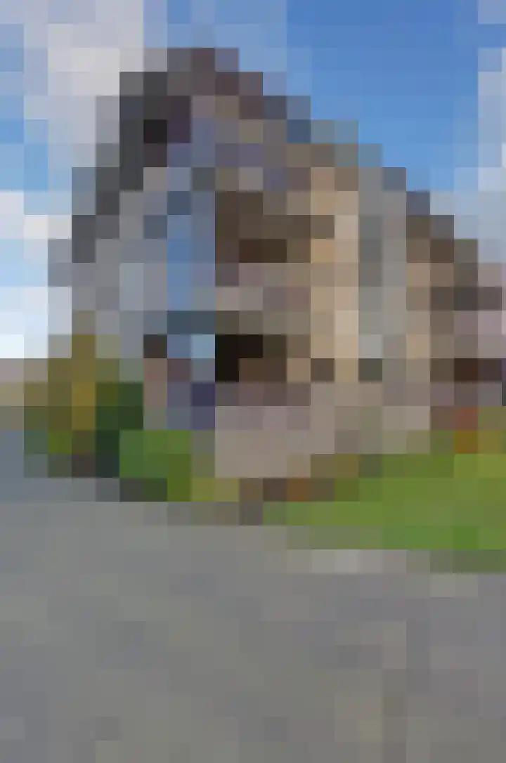 Bellevue 6 Assen thumbnail 37