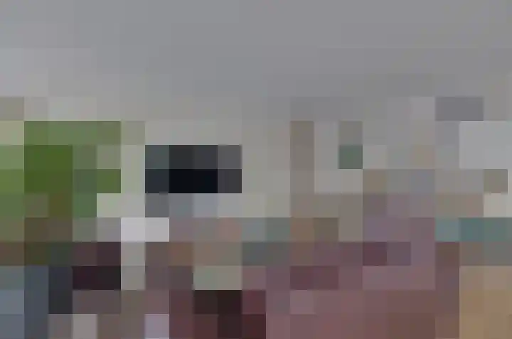 Bellevue 6 Assen thumbnail 8