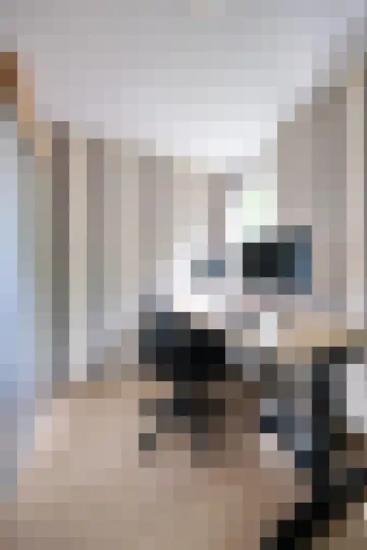 Bellevue 7 Renkum thumbnail 14